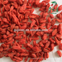 Ningxia sec gros Goji Berry